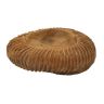 Decorative tray Mauro Ferretti Garit
