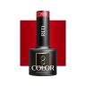 Hibridinis gelinis lakas OCHO NAILS 204