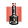 Hibridinis gelinis lakas OCHO NAILS RAINBOW R04
