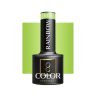 Hibridinis lakas OCHO NAILS RAINBOW R09