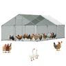 Metalinis vištidės aptvaras VEVOR JD362, 3 × 6 × 2 m