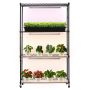 Augalų lentyna su 4 pakopų stovu ir 90 W augimo lempa, 150 cm, metalinė