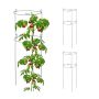 Augalų atramos Relaxdays 10044639.0, 3 vnt., po 2 žiedus, Ø 26 × 76 cm