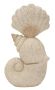 Dekoratyvinė kriauklės skulptūra, 17,2 × 30,2 × 10 cm