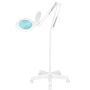 Magnifying LED lamp GLOW MOONLIGHT 8012/5, 8 W