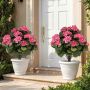 Dirbtinių pelargonijų rinkinys, 2 vnt, Rožinė, Ø 57 × 33 cm