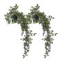 Dirbtinių pothos augalų rinkinys Relaxdays 10045556.0, 2 vnt, 60 × 20 cm