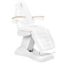 Electric beauty chair, 3 motors