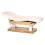 Электрическая процедурная кушетка Sillon Comfort SPA