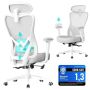 Ergonomiška biuro kėdė SONGMICS OBN066BH01