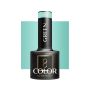 Gel polish OCHO NAILS GREEN