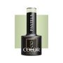 Gel polish OCHO NAILS P05