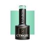 Gel polish OCHO NAILS RAINBOW R10