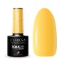 Gel nail polish Claresa Summer Stories 4