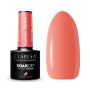 Gel nail polish CLARESA SUMMER STORIES 5
