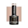 Hybrid gel polish OCHO NAILS