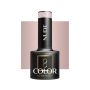 Hybrid gel polish OCHO NAILS