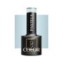 Hybrid gel polish OCHO NAILS P06