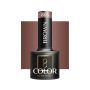 Hybrid gel nail polish OCHO NAILS, Brown