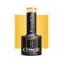 Hybrid polish OCHO NAILS RAINBOW R01