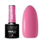 Hybrid nail polish CLARESA 519
