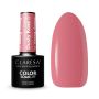 Hybrid nail polish CLARESA Dusty Rose 6