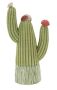 Kaktuso skulptūra Cactus Stons, 10,5 × 20,5 × 6,5 cm