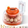 Egg incubator VEVOR M12H, 12 eggs, 30.5 × 31.5 × 19.5 cm