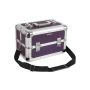 Compact cosmetic case, purple