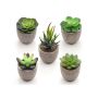 Set of artificial flowers in pots, 5 pcs.