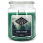 Kvapioji žvakė Candle Brothers, 1 vnt, Žalia, Ø 10 × 15 cm