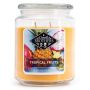 Kvapioji žvakė „Candle Brothers“, „Tropical Fruits“, 200 g