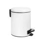 Trash can with plastic inner box