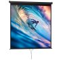 Projector screen, 1:1, 99 inches, Black, 178 × 178 cm