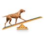 Balance swing for dogs