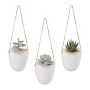 Sieniniai kabantys vazonai Relaxdays 10045559.0, 3 vnt, 11,5 × 12,5 × 9,5 cm