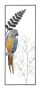 Sieninis skydas Parrot, 28,6 × 74,3 × 2,5 cm
