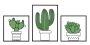 Sieninių plokščių rinkinys Cactus, 3 vnt