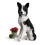 Sodo šuns figūrėlė Relaxdays 10053582_9267 Collie, 68 × 34,5 × 43 cm