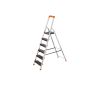 Ladder with 6 steps
