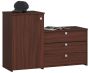 Shoe cabinet S16, dark brown