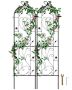 Garden trellis for climbing plants, stainless steel, 60x15 cm, 2 pcs.