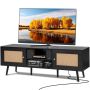 Rattan TV stand 65" with door, USB, black