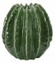 Vaza Cactus Ball, Ø 23,5 × 24,5 cm