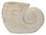 Vaza Shell Sand A, 33 × 23 × 19 cm