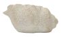 Vaza Shell Sand B, 35 × 18 × 23 cm