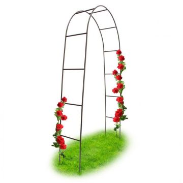 Arka augalams 240x140x38cm., tamsiai rudos spalvos