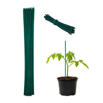 Rinkinys iš 50 sodo grotelių 30cm., žalios spalvos