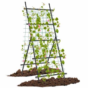 A-shaped garden frame, 31 × 26 × 74 inches