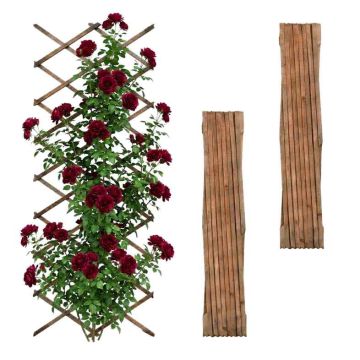 Augalų grotelės Relaxdays, 3 vnt., XXL, reguliuojamos, Ruda, 310 × 90 × 1,5 cm